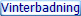 Vinterbadning